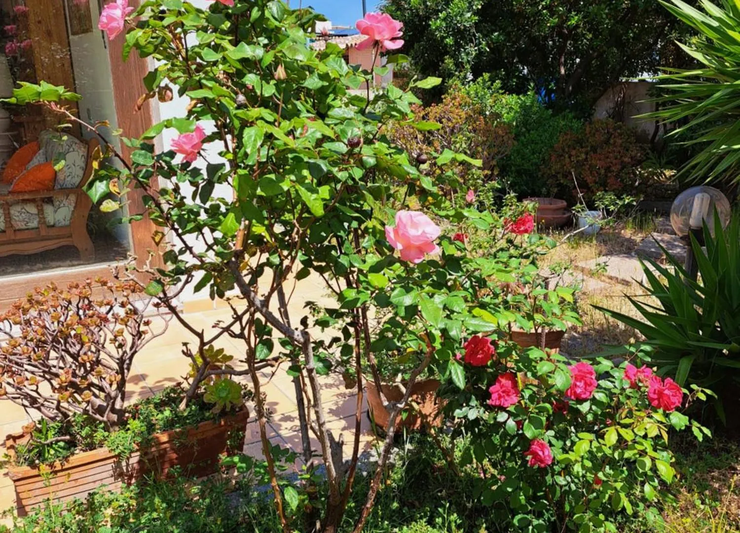 Casa Di Paolo E Roberta Bed & Breakfast Santa Teresa Gallura