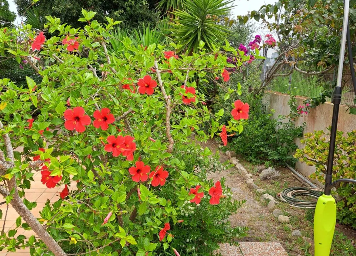 Casa Di Paolo E Roberta Bed & Breakfast Santa Teresa Gallura 0*,  Italy