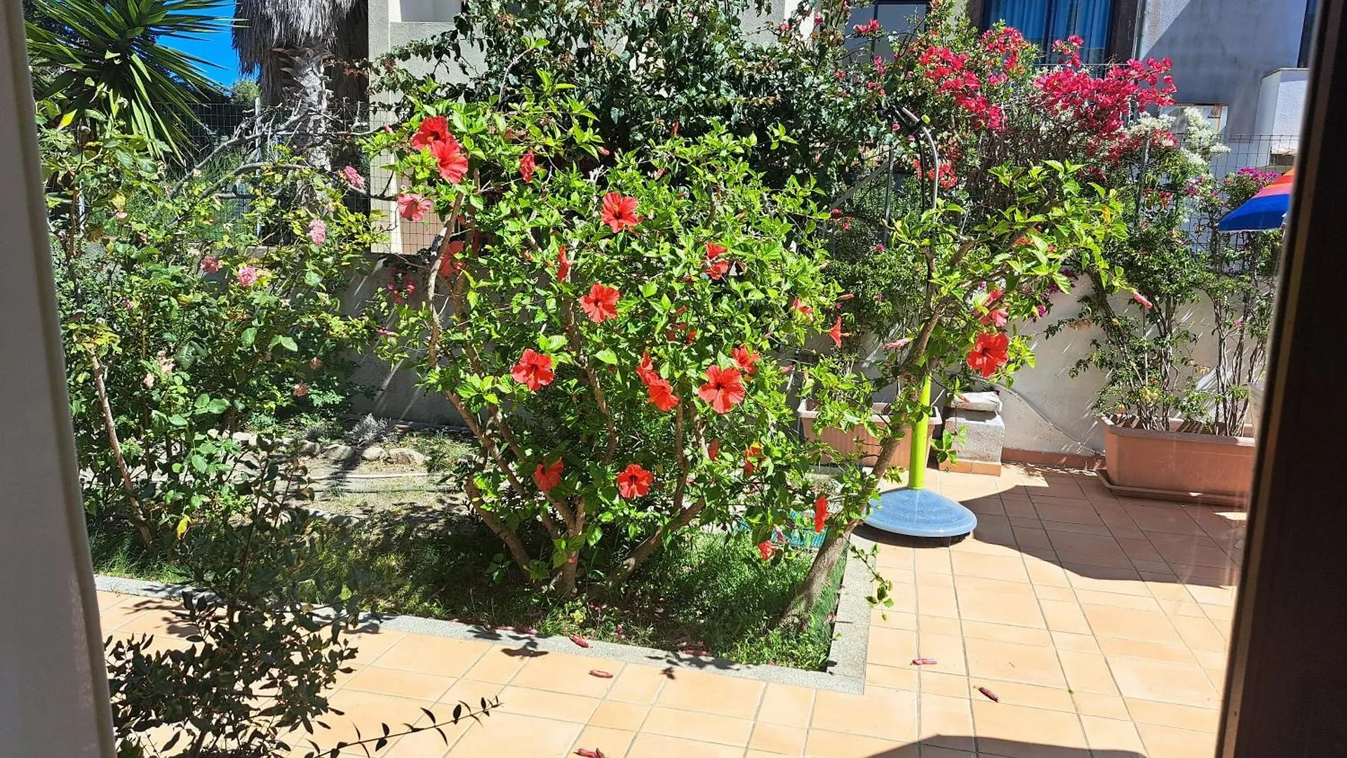 Casa Di Paolo E Roberta Bed & Breakfast Santa Teresa Gallura 0*,
